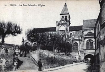 <img src="../../../../images/Boeuf-Triel.jpg" width="350" height="240" />