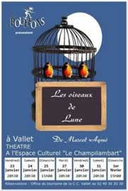 Travail+L%27affiche++oiseaux+de+lune+17